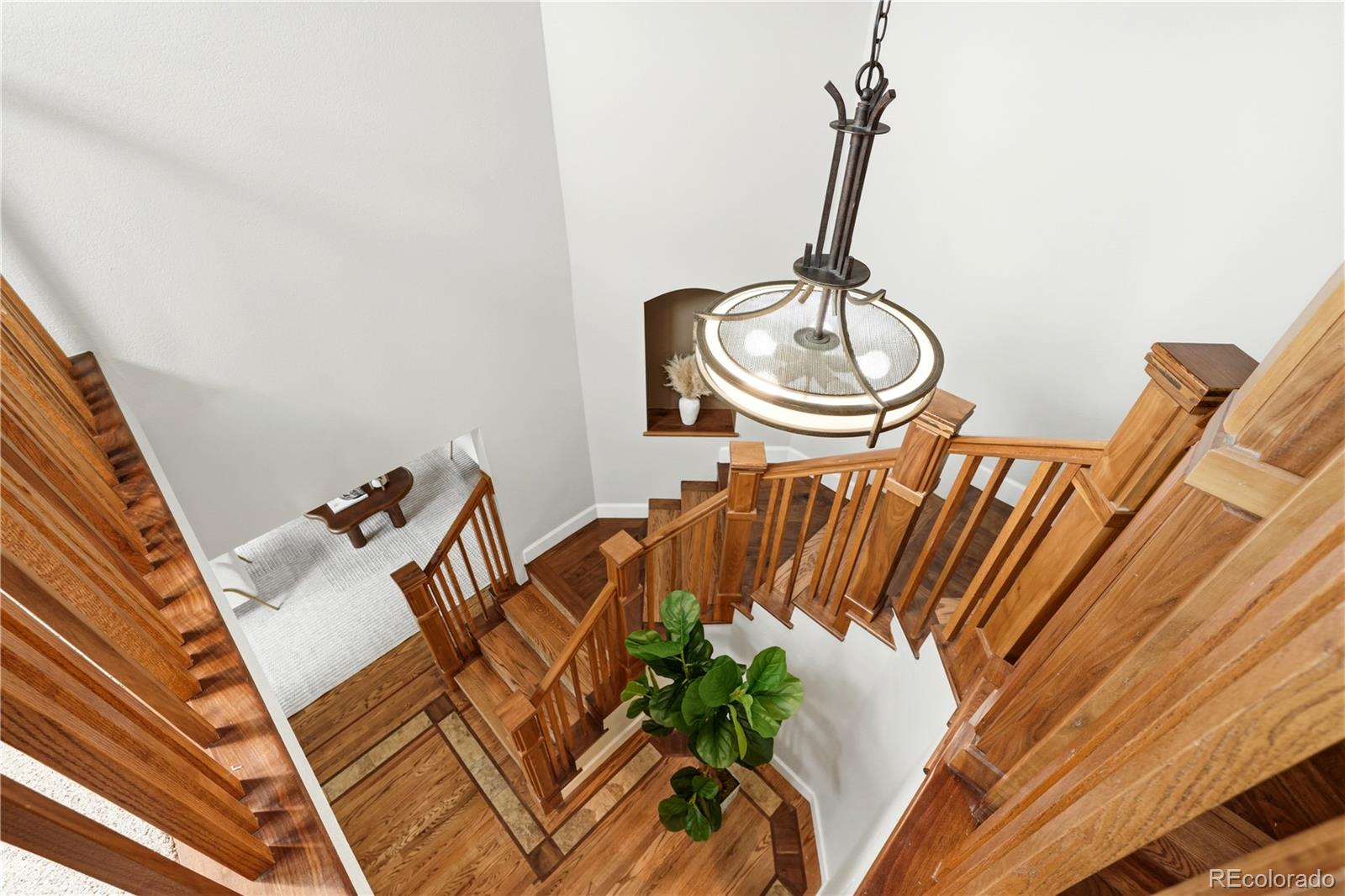 204 Corby Place Castle Pines CO 80108
