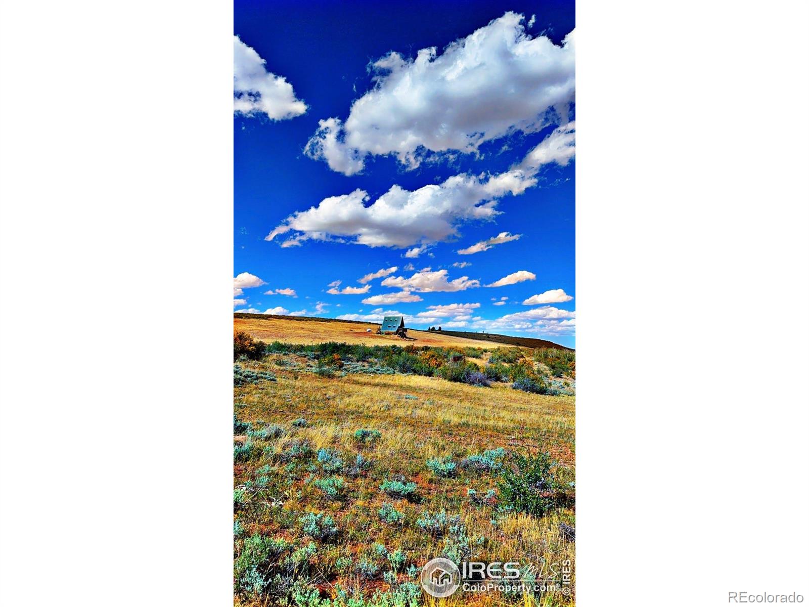 867 Windy Ridge Road Red Feather Lakes CO 80545