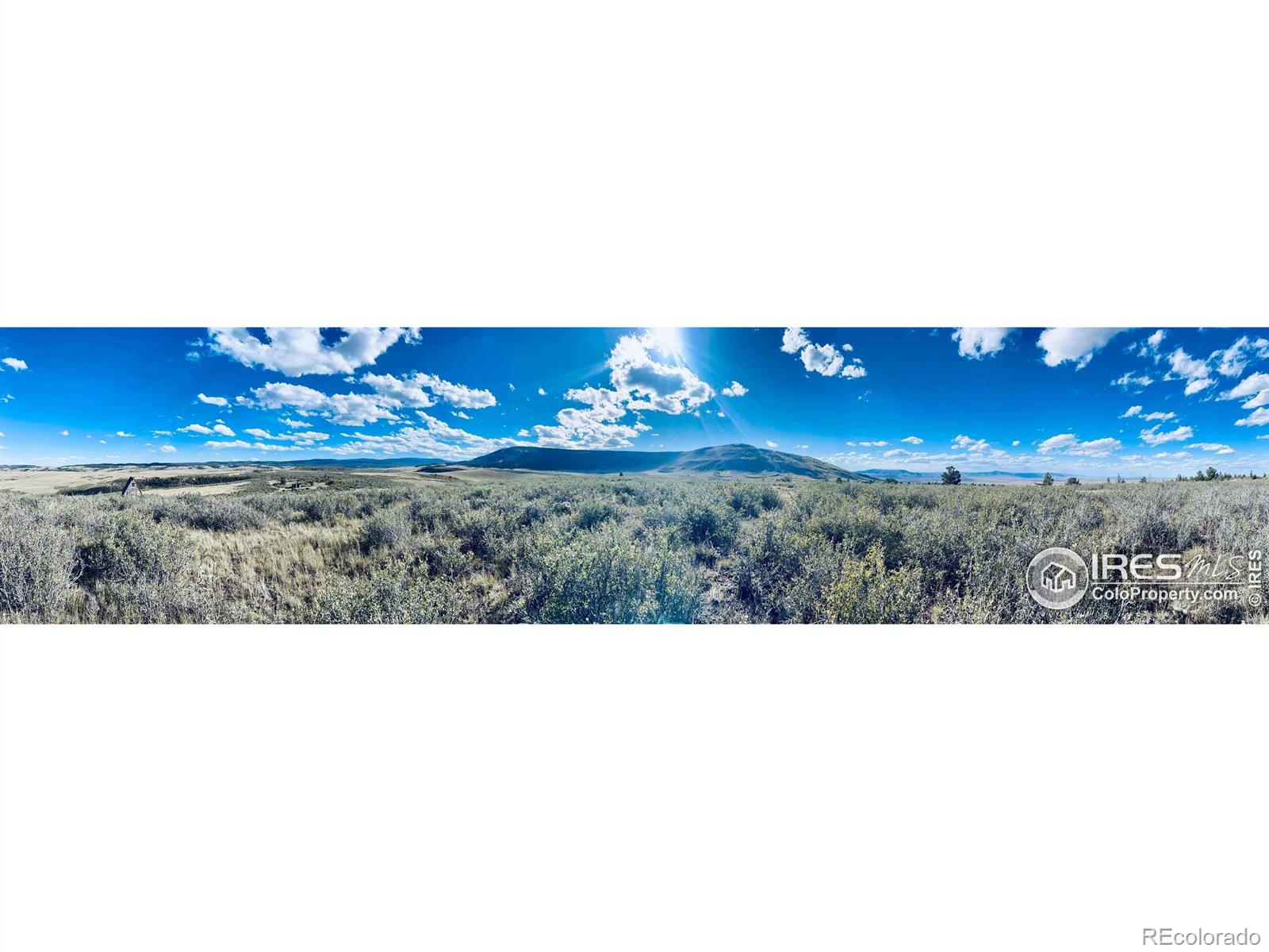 867 Windy Ridge Road Red Feather Lakes CO 80545