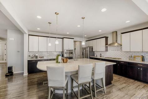 11230 Endeavor Drive Parker CO 80134