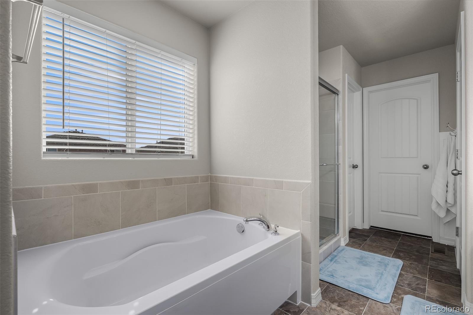 10895 Lavanya Place Fountain CO 80817