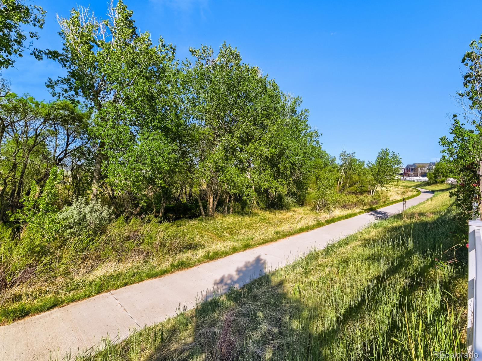 18933 E 53rd Avenue Denver CO 80249