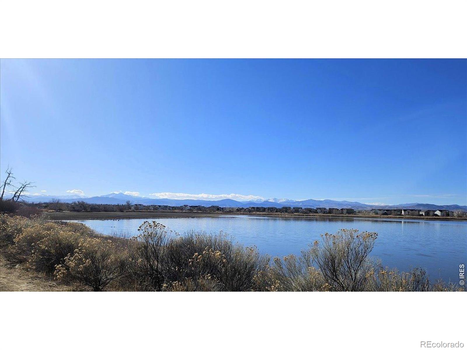 4126 Independence Drive Loveland CO 80538