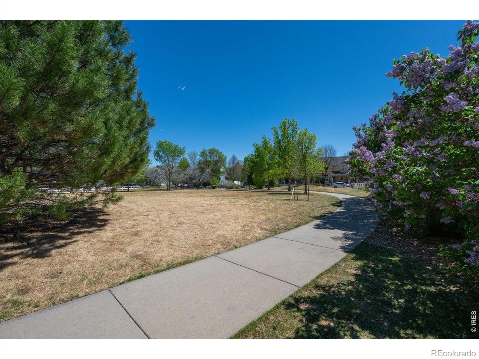 4126 Independence Drive Loveland CO 80538