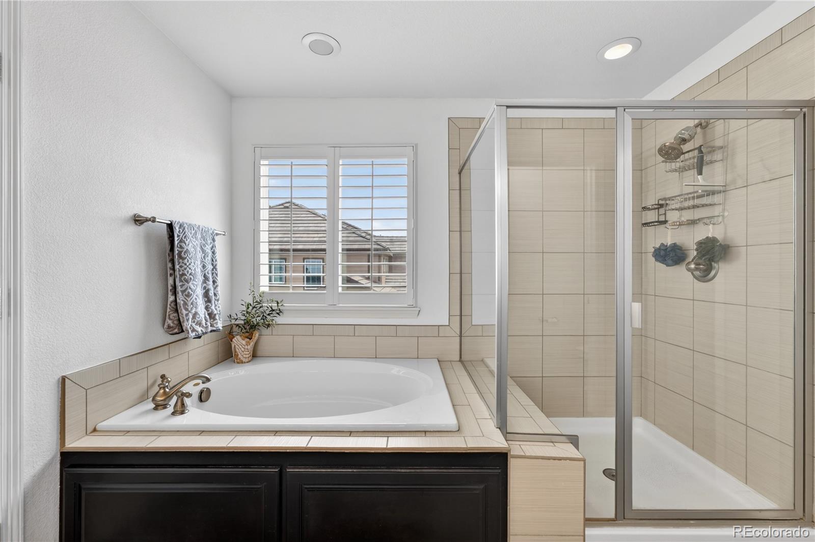 10621 Worthington Circle Parker CO 80134
