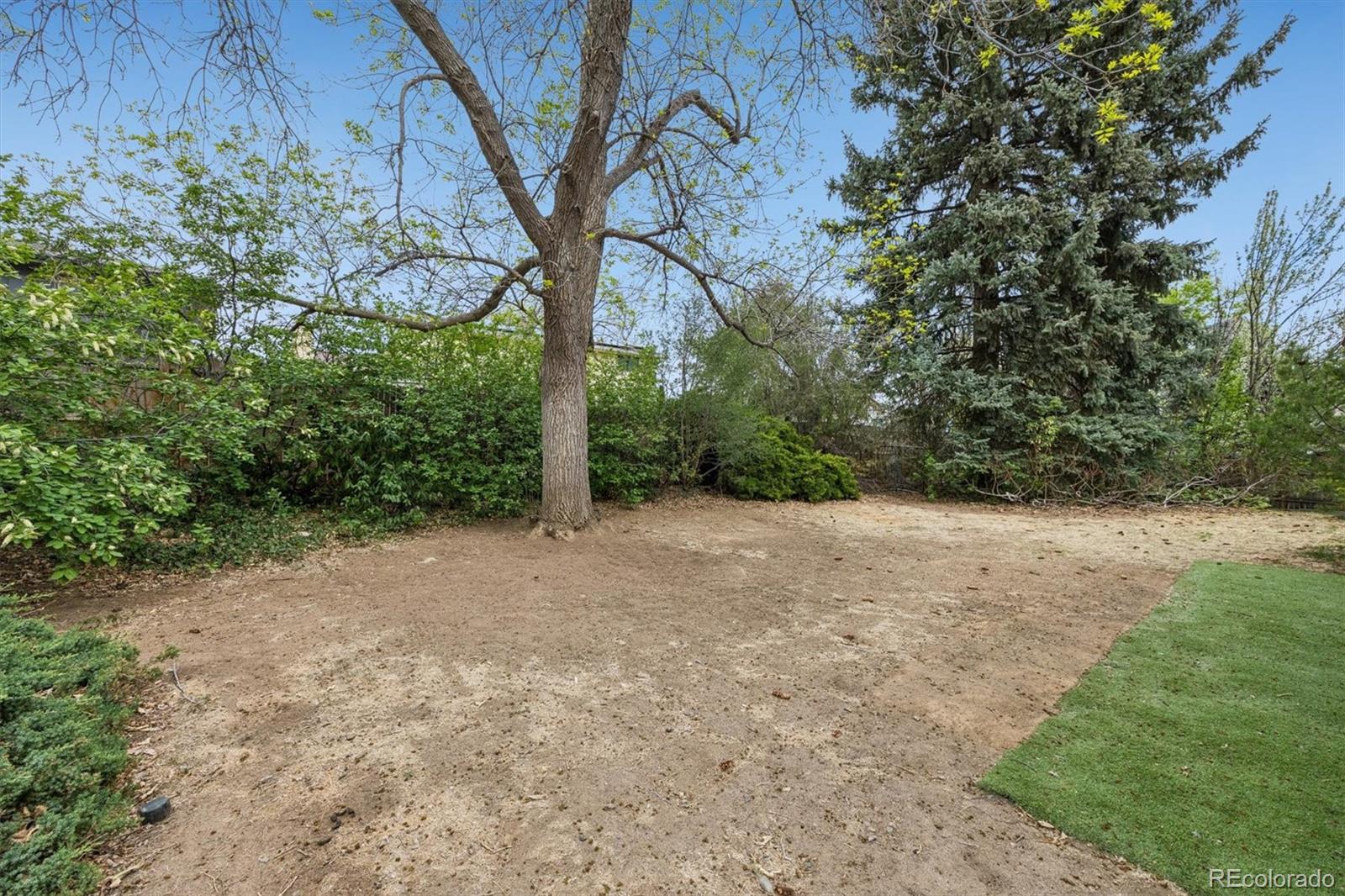 3783 S Fenton Way Denver CO 80235