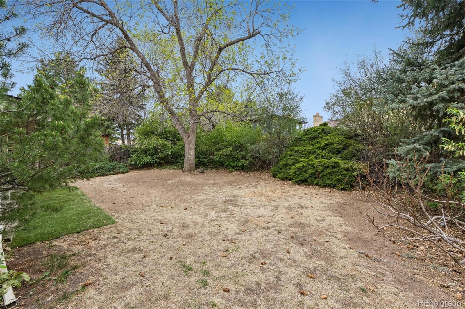 3783 S Fenton Way Denver CO 80235