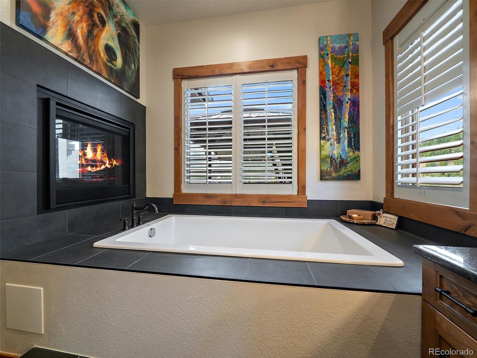 32643 Lodgepole Circle Evergreen CO 80439