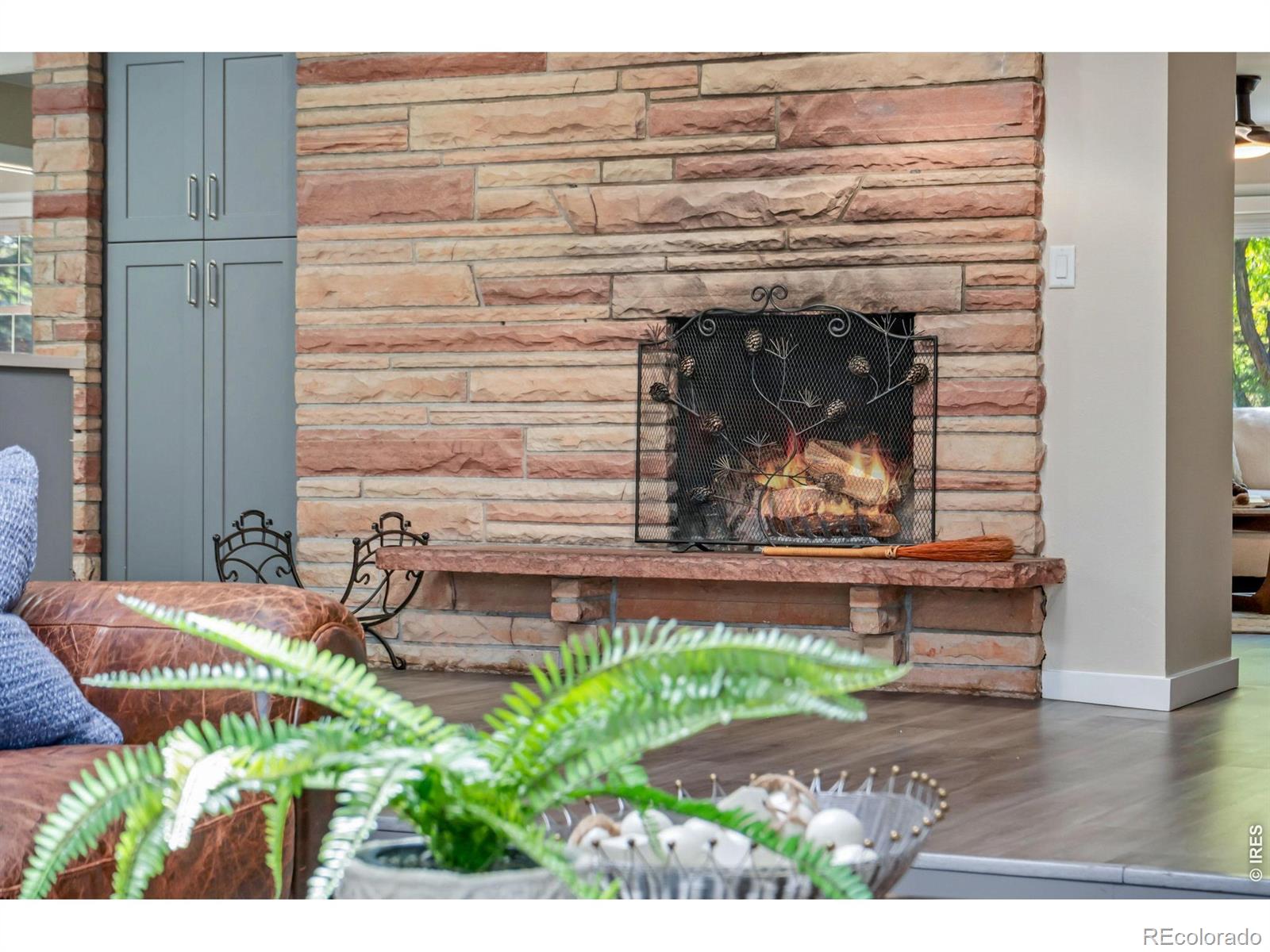 2224 Vassar Avenue Fort Collins CO 80525