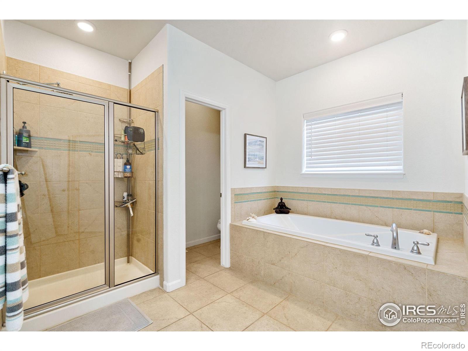 1689 Colorado River Drive Windsor CO 80550