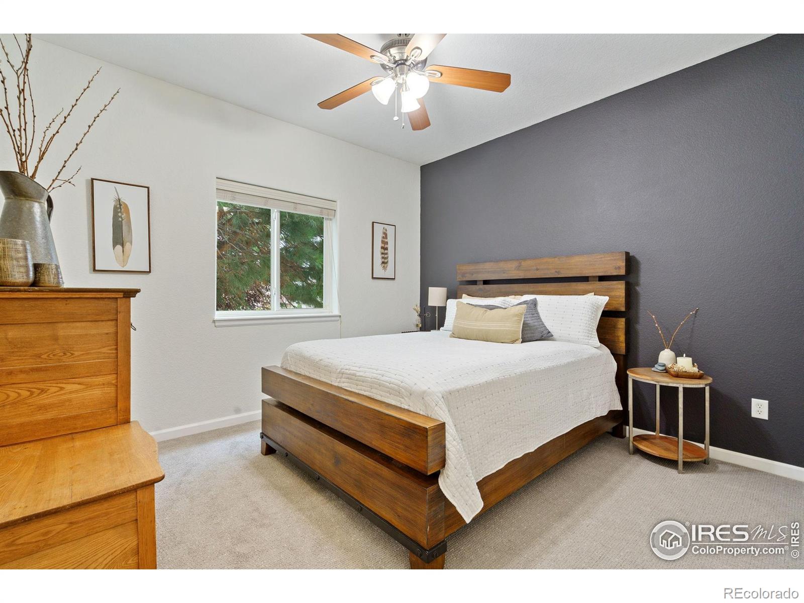 1689 Colorado River Drive Windsor CO 80550