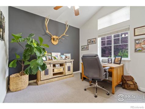 1689 Colorado River Drive Windsor CO 80550
