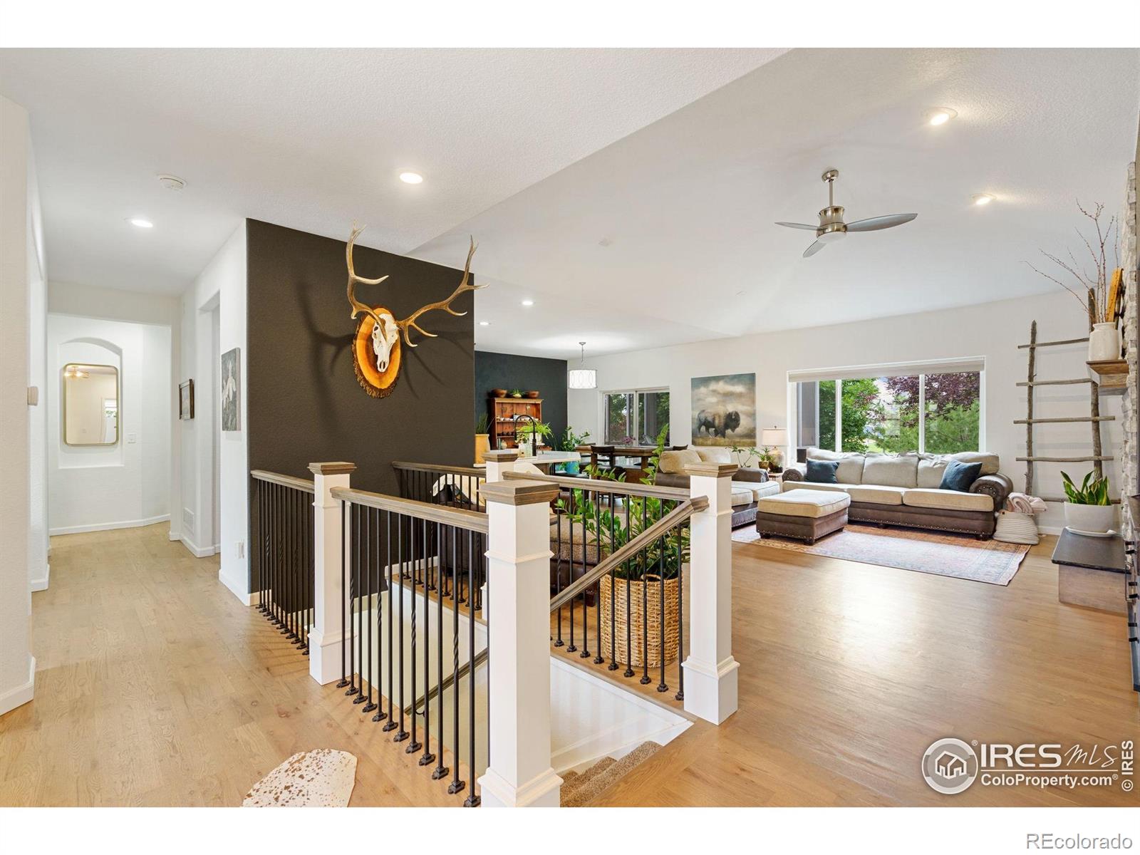 1689 Colorado River Drive Windsor CO 80550