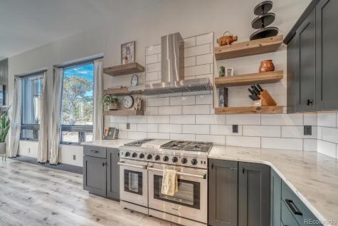 30019 Teal Court Buena Vista CO 81211