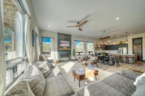 30019 Teal Court Buena Vista CO 81211