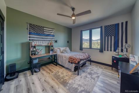 30019 Teal Court Buena Vista CO 81211
