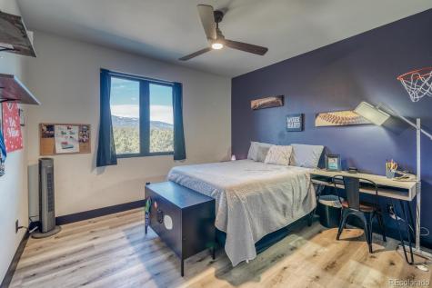 30019 Teal Court Buena Vista CO 81211