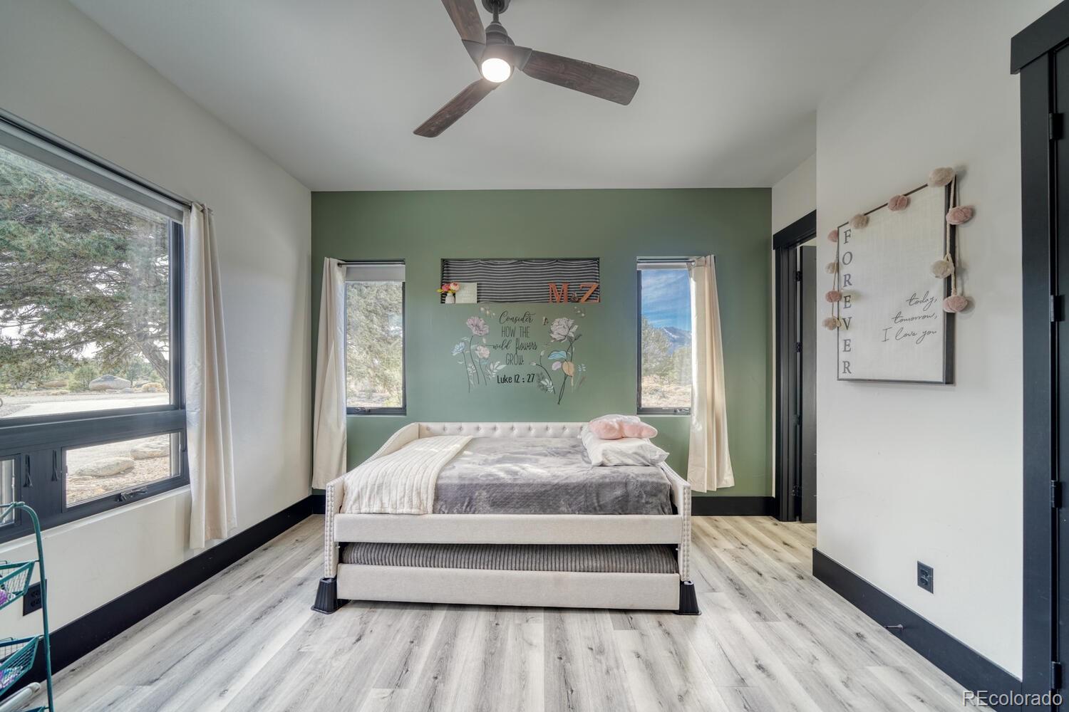 30019 Teal Court Buena Vista CO 81211