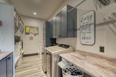 30019 Teal Court Buena Vista CO 81211