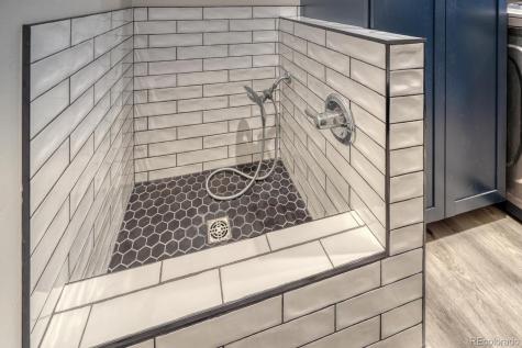 30019 Teal Court Buena Vista CO 81211