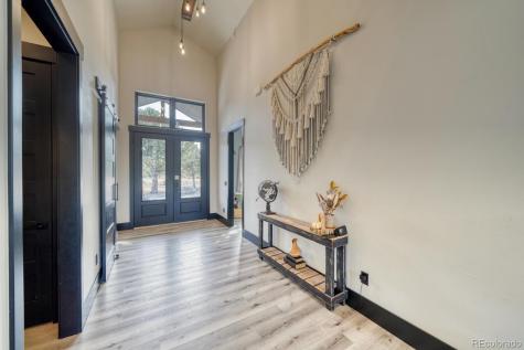 30019 Teal Court Buena Vista CO 81211