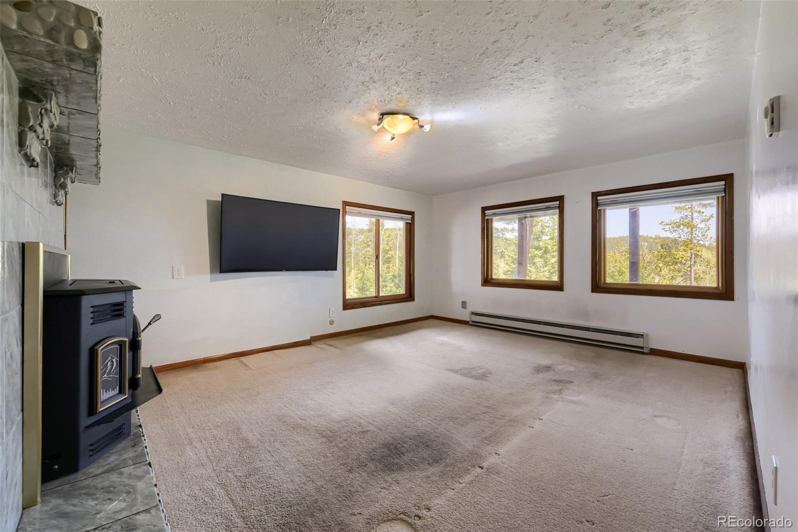 19653 Silver Ranch Road Conifer CO 80433