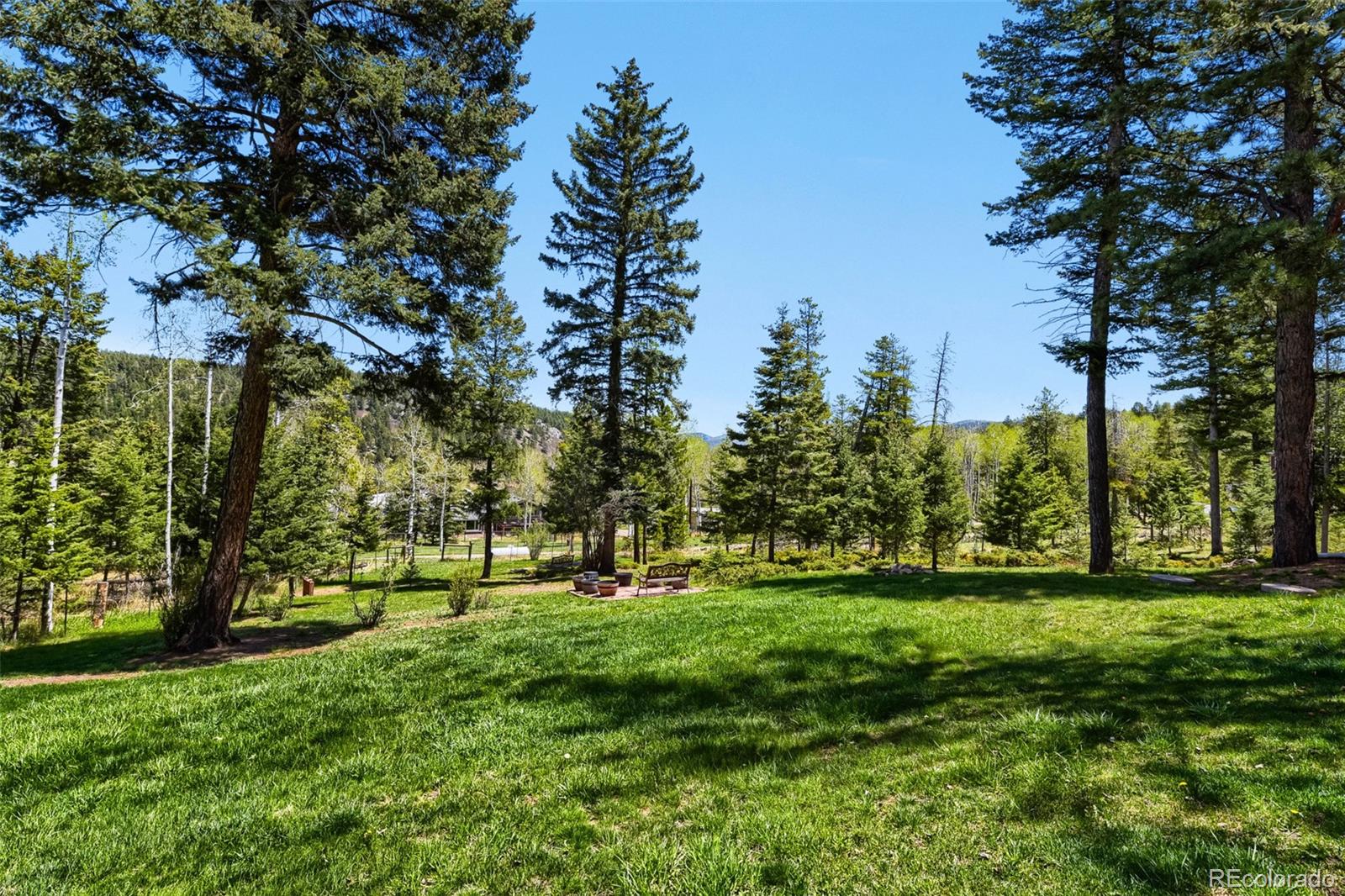 19653 Silver Ranch Road Conifer CO 80433