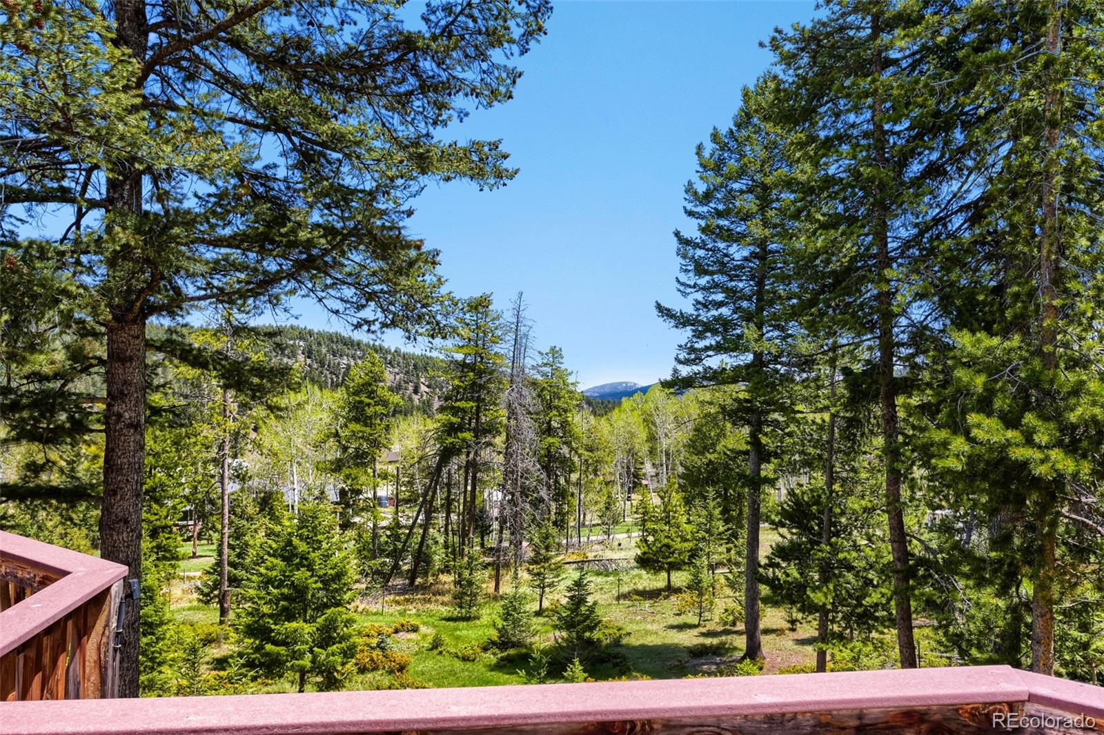 19653 Silver Ranch Road Conifer CO 80433