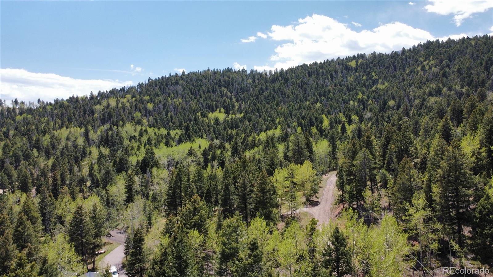 19653 Silver Ranch Road Conifer CO 80433