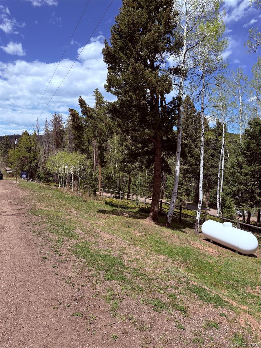 19653 Silver Ranch Road Conifer CO 80433
