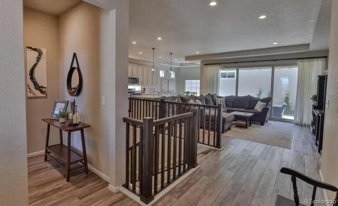 6652 Golden Briar Lane Colorado Springs CO 80927