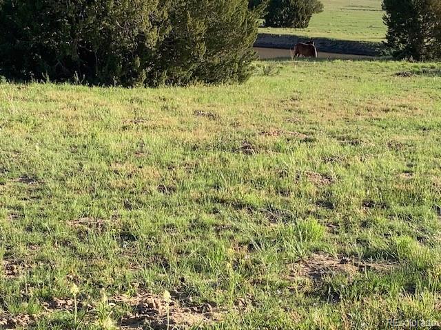 5355 Sunflower Lane Pueblo CO 81004
