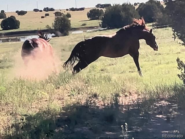 5355 Sunflower Lane Pueblo CO 81004