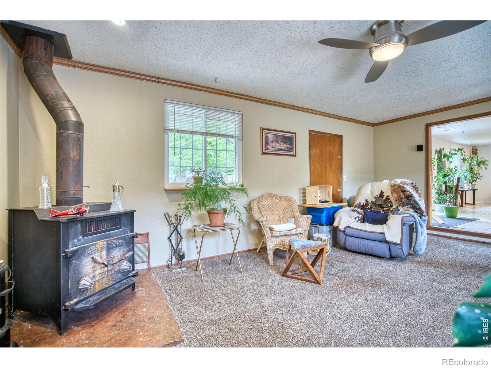 36 Placer Avenue Longmont CO 80504