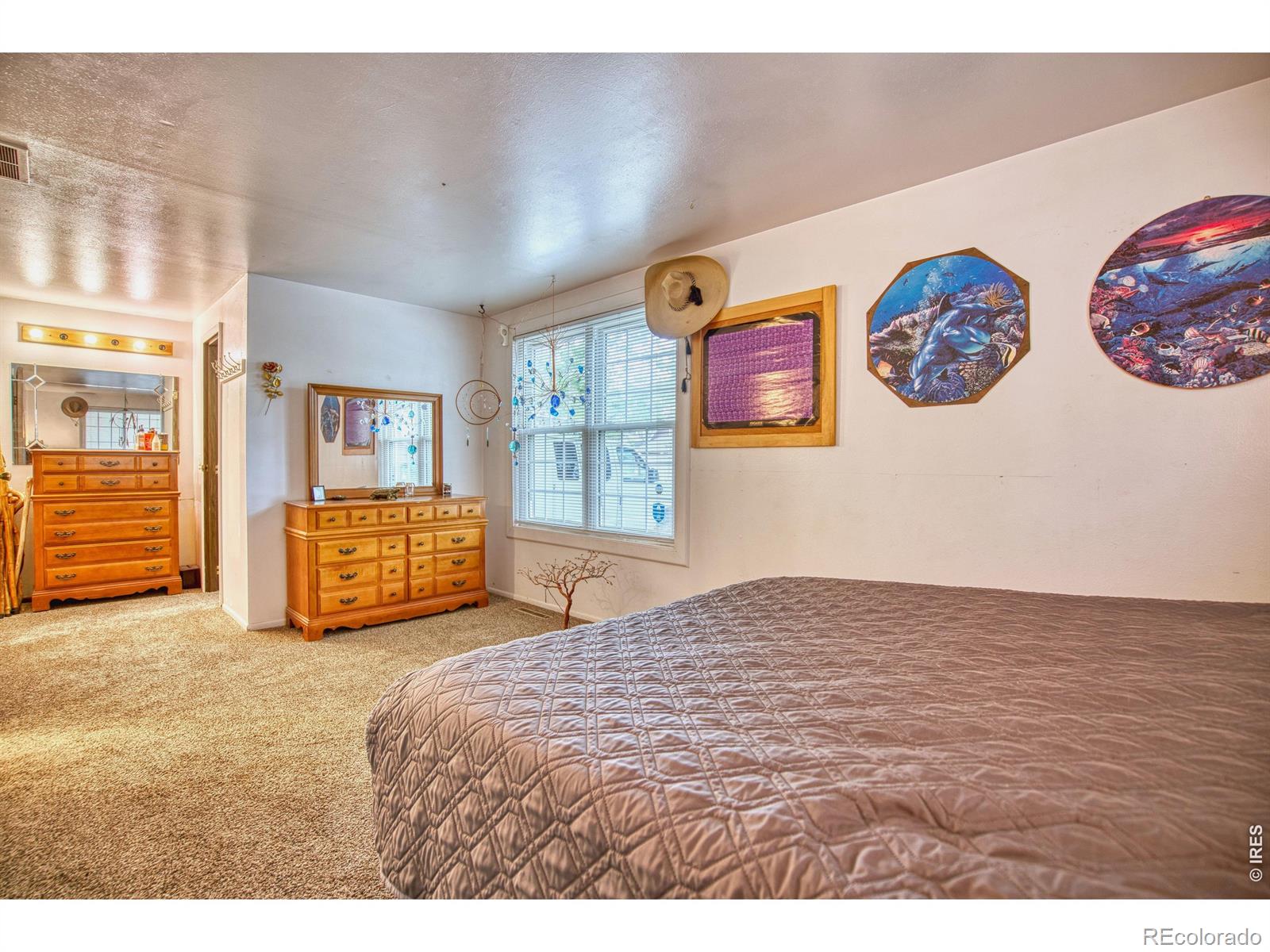 36 Placer Avenue Longmont CO 80504