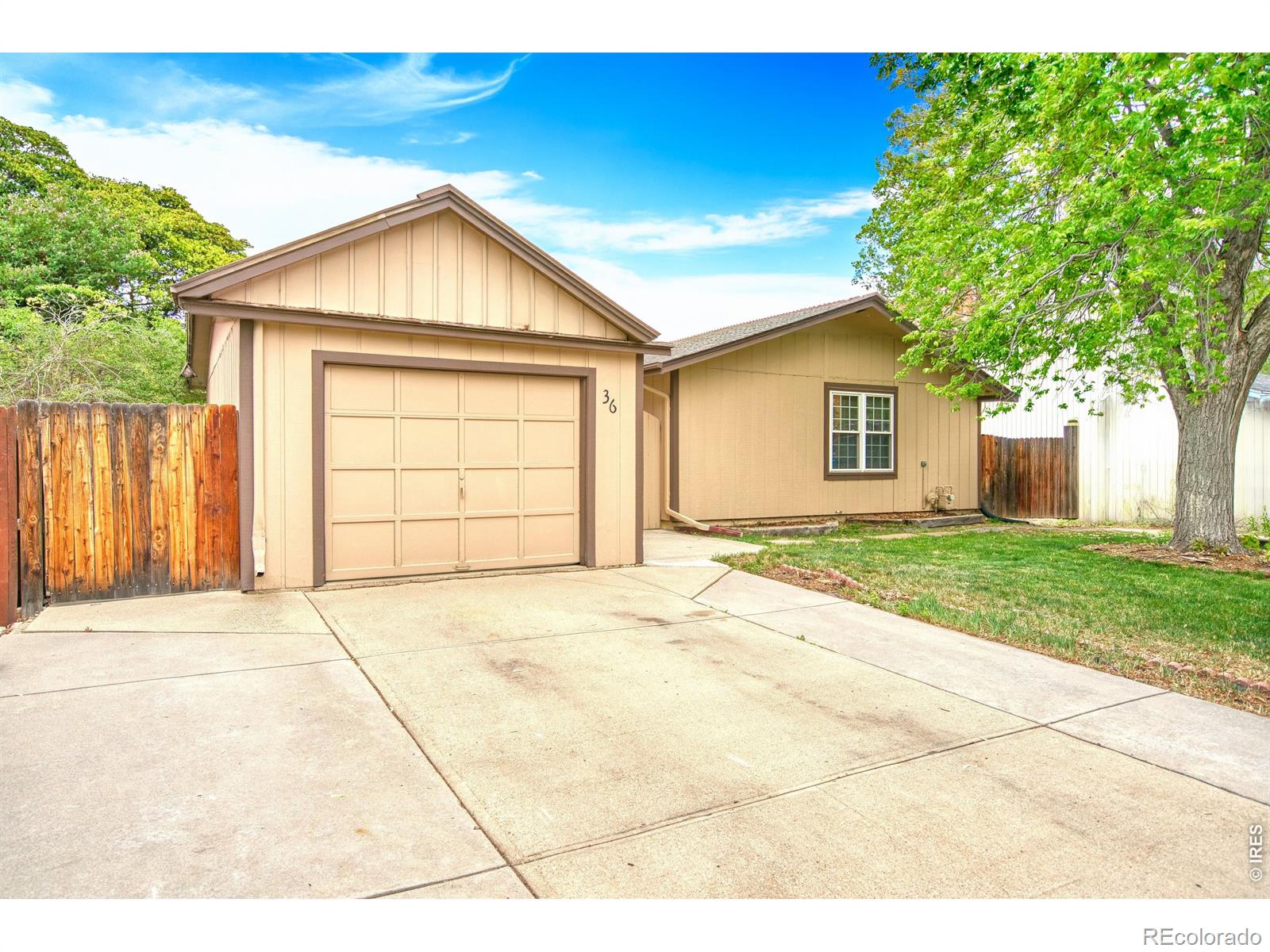 36 Placer Avenue Longmont CO 80504