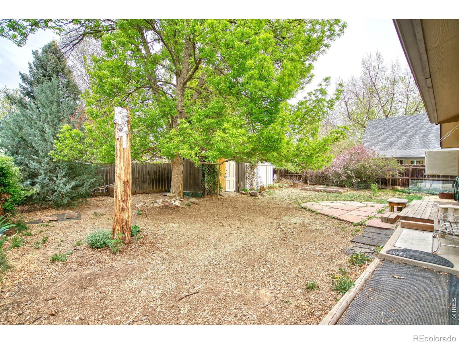 36 Placer Avenue Longmont CO 80504
