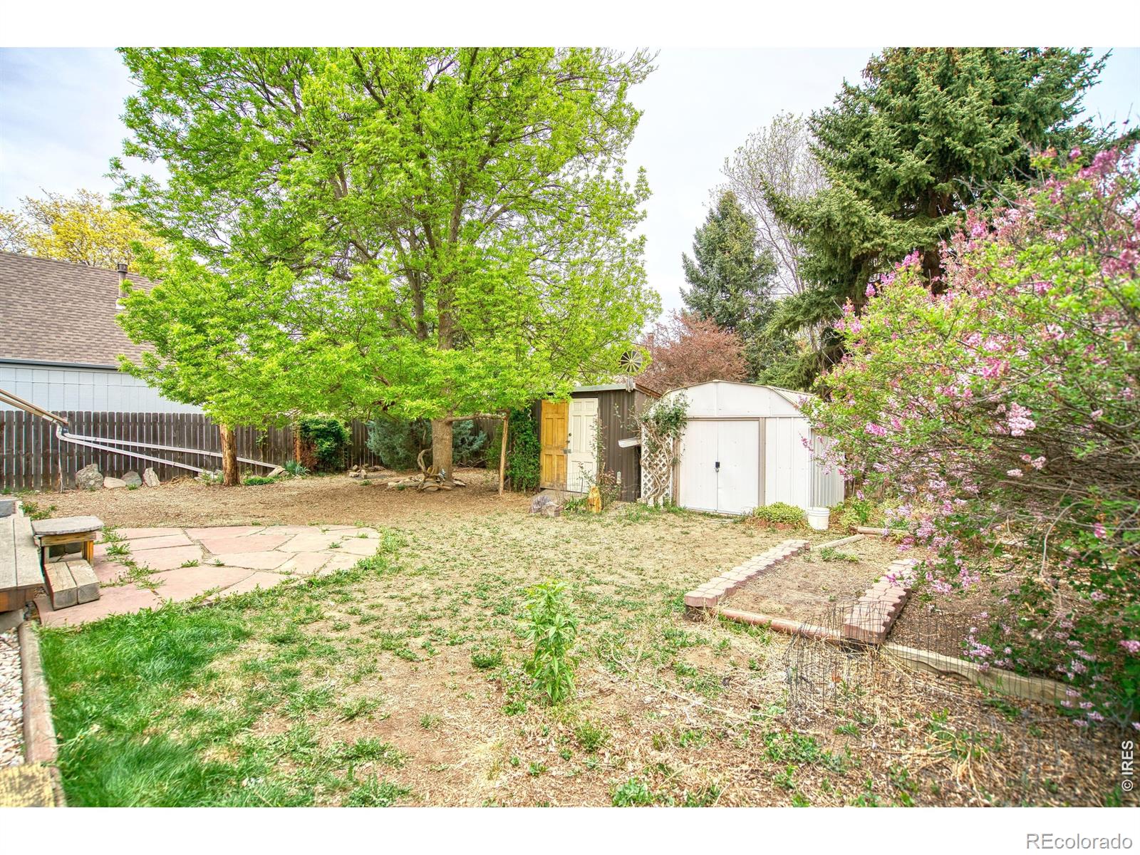 36 Placer Avenue Longmont CO 80504