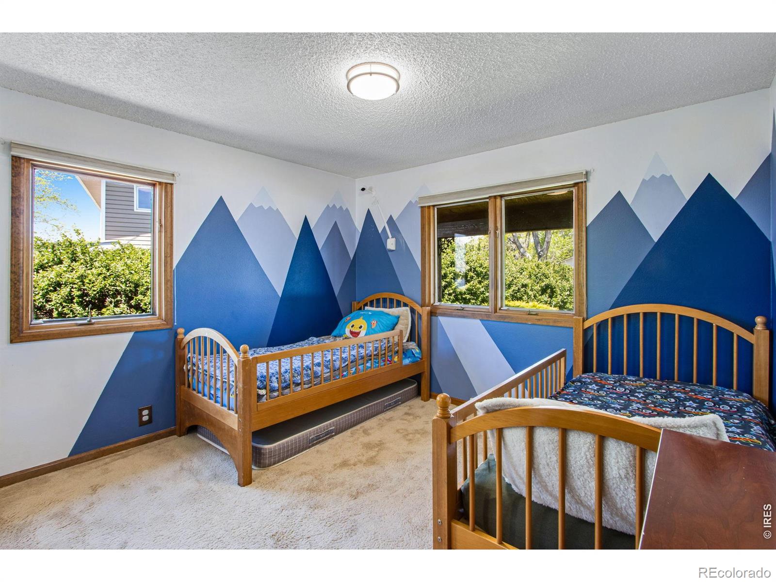1104 Engleman Place Loveland CO 80538
