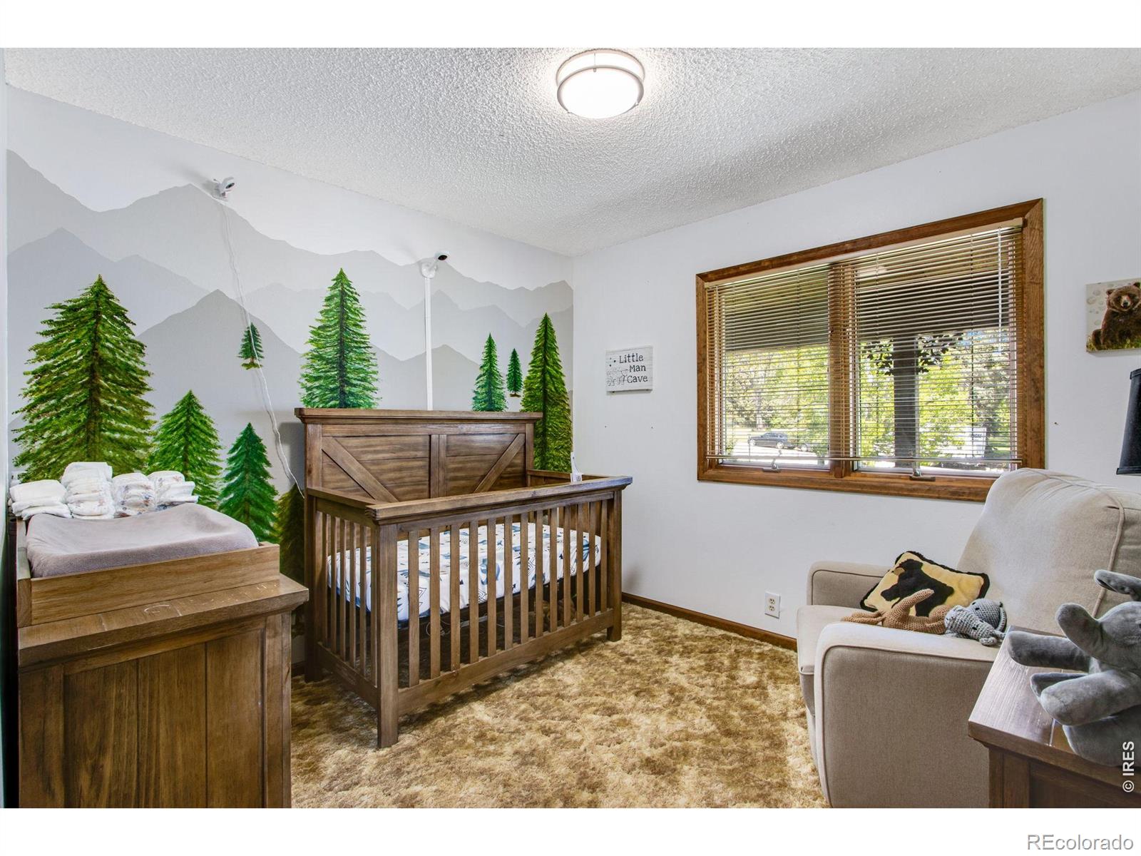 1104 Engleman Place Loveland CO 80538