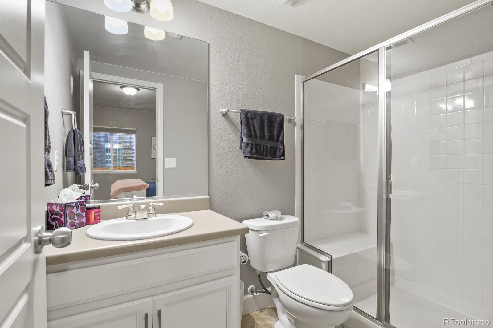1339 W 171st Place Broomfield CO 80023
