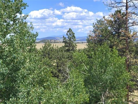 5076 Campfire Road Hartsel CO 80449