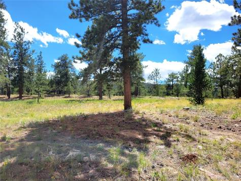 5076 Campfire Road Hartsel CO 80449