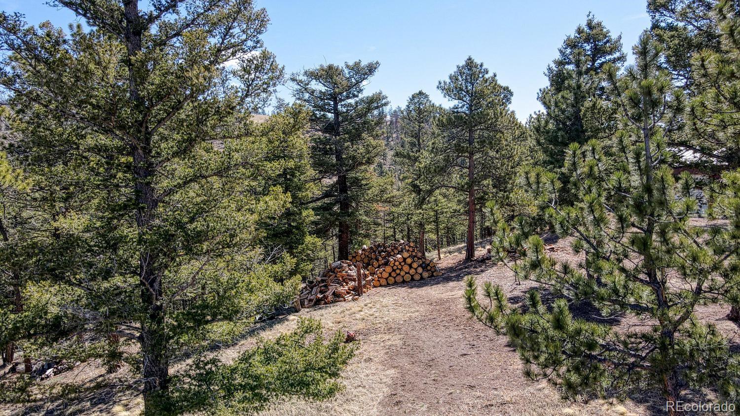 1041 County Road 200 Poncha Springs CO 81242