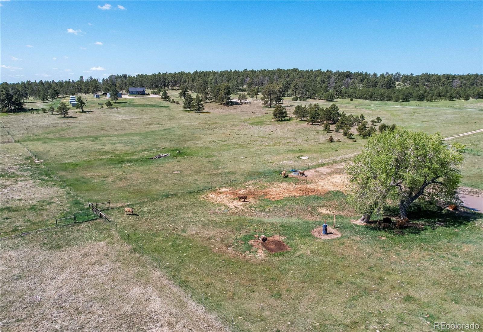 18050 Wedemeyer Road Kiowa CO 80117