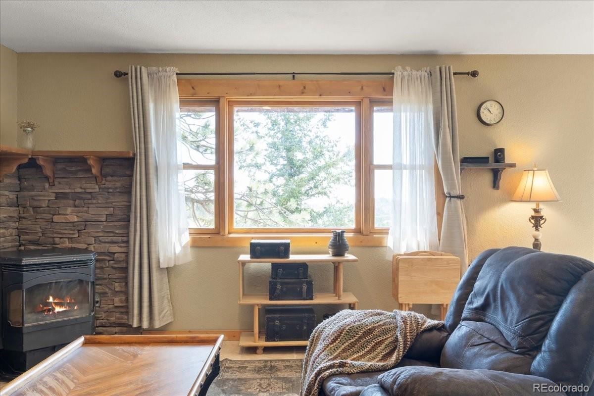 569 Gordon Court Livermore CO 80536