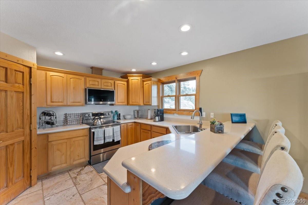 569 Gordon Court Livermore CO 80536