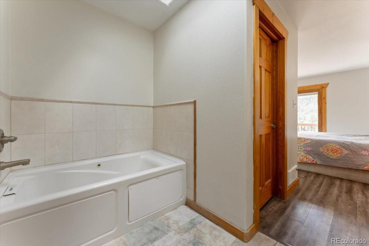 569 Gordon Court Livermore CO 80536