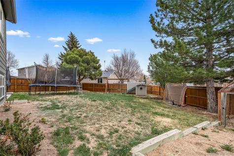 8394 Needlegrass Court Parker CO 80134