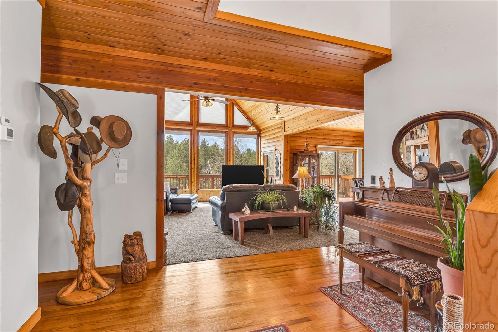 155 Fossil Creek Road Florissant CO 80816
